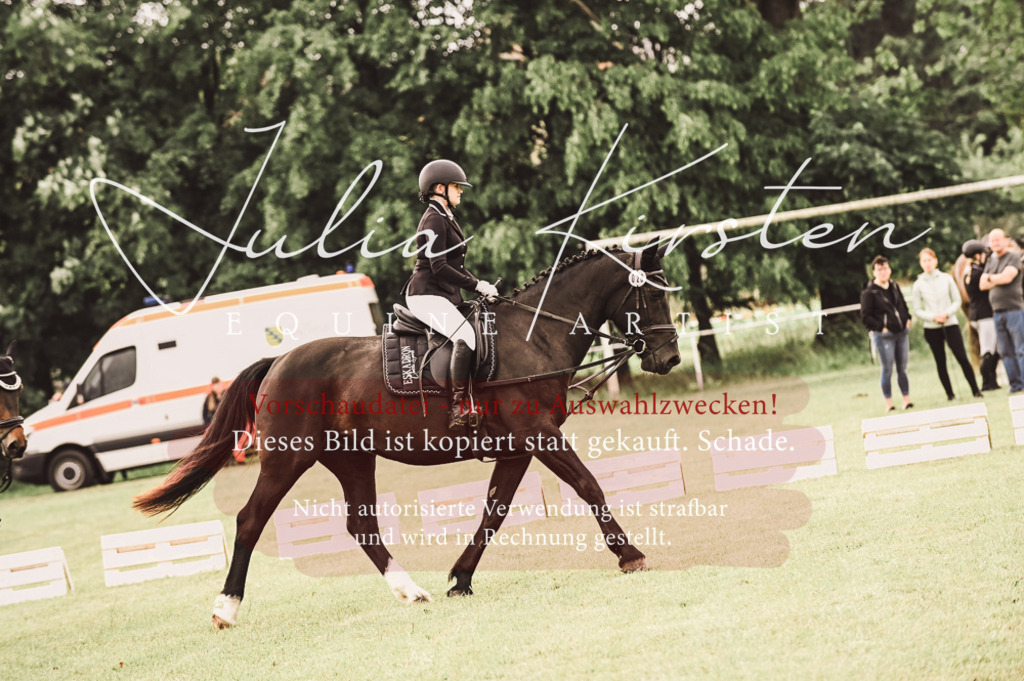 DSC_4897 | Pferde- und Turnierfotografie in Westsachsen. Pferdeportraits, Auftragszeichnungen und intuitive Kunst.