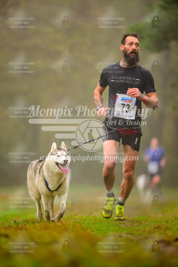 MompixPhotography_Bischwiller2025_Canicross-54 | mompixphotography