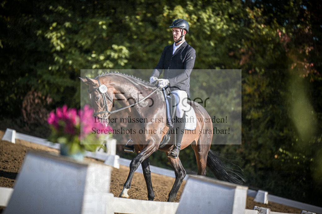 DOS_1445 | Entdecke hochwertige Reitturnierfotos von Foto Oger. Professionell, emotional und authentisch – jetzt Lieblingsmomente im Shop bestellen.Deutschlandweite Turnierfotografie. - Realisiert mit Pictrs.com