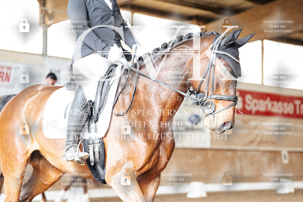 CK901608 | Turnierfotografie Pferdefotografie Trier Rheinland-Pfalz Pferdesport Reitsport Tierfotografie Sportfotografie Pferdevideo Pferdevideografie Equestrianvideography equestrianphotography  - Realisiert mit Pictrs.com