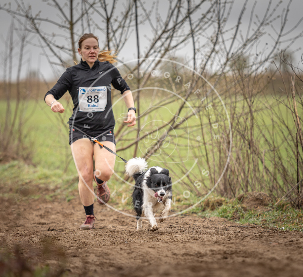 DV3A9947 | Hundefotografie, Tierfotograf, Pfotenfotografie, Fotoshooting Hund, Hunde Portrait, Hundesport, Hundeportraits, Heideshooting, Hunde, Sportfotograf, Hundefotograf, Turnierhundsport, THS,  - Realisiert mit Pictrs.com