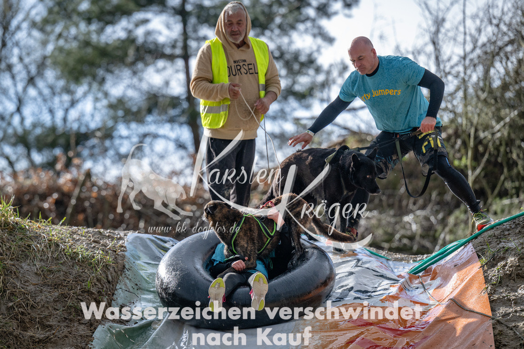 1546_ZZ91159 | kk-dogfotos