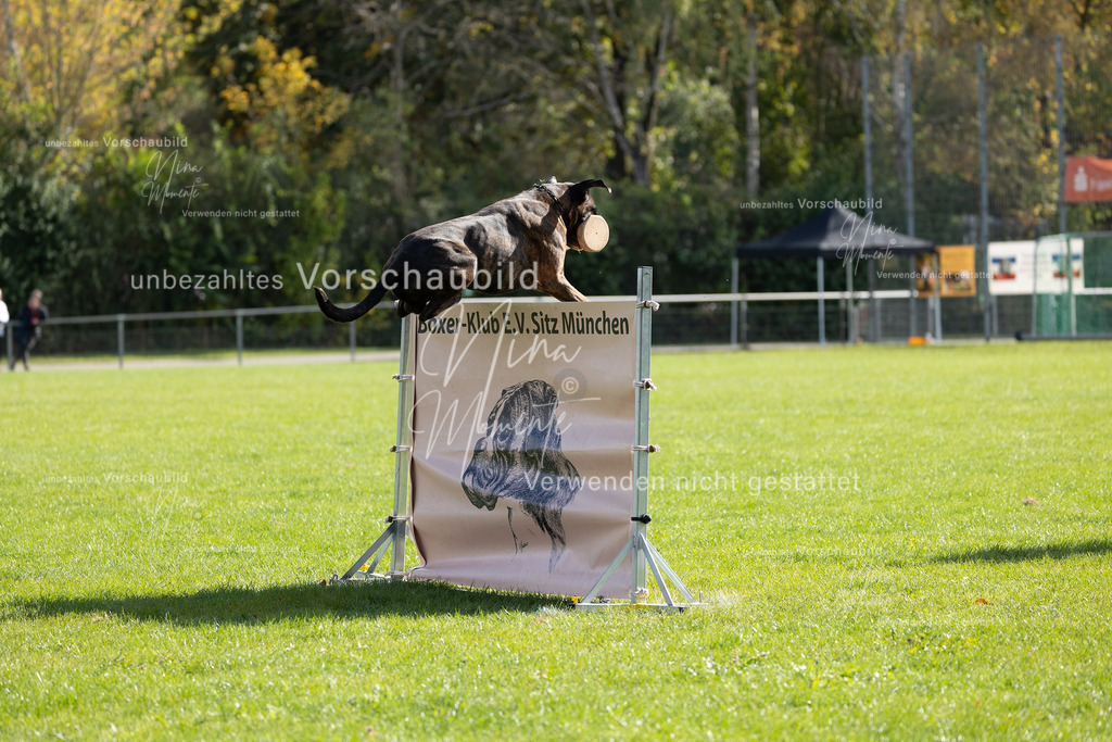 _16A6841 | Einzigartige Fotos von Hunden & Menschen –Actionfotos, Portraits, Vereinsaufnahmen & Paarshootings – authentisch, lebendig & mit Herz.