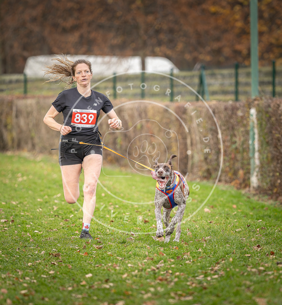CaniXpix_DV3A6288 | Hundefotografie, Tierfotograf, Pfotenfotografie, Fotoshooting Hund, Hunde Portrait, Hundesport, Hundeportraits, Heideshooting, Hunde, Sportfotograf, Hundefotograf, Turnierhundsport, THS,  - Realisiert mit Pictrs.com