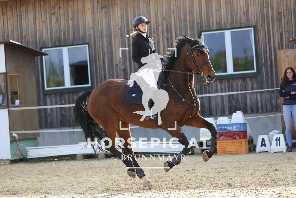 0P6A9920 | Willkommen bei Brunnmayr - Design & Fotografie – Ihrem Spezialisten für Reitturniere und Pferdeveranstaltungen in Oberösterreich, Salzburg und Bayern! Seit über 17 Jahren sind wir leidenschaftlich dabei.