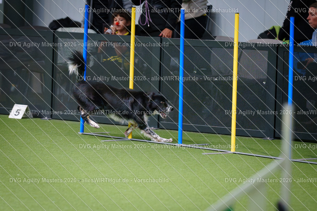 allesWIRTHgut_Tierfotografie-DVG_Agility_Masters_2026-14_29-7R500506 | Professionelle Tierfotografie in Mönchengladbach von Daniel Wirth (allesWIRTHgut). Liebevolle & natürliche Bilder von Hunden & Katzen für unvergessliche Erinnerungen.