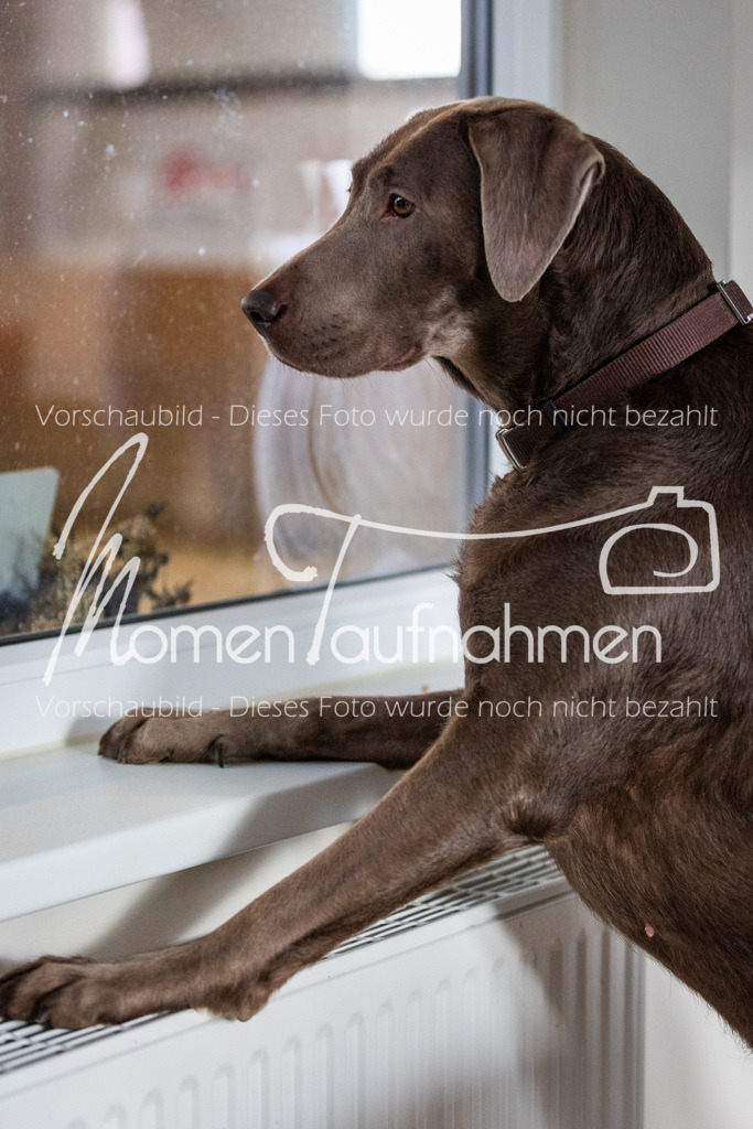 LehrgSth24-172 | MomenTaufnahmen Pferdesportfotos