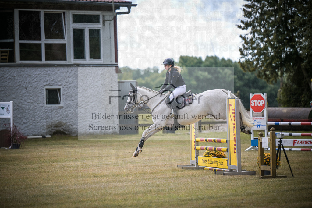 DOS_0999 | Entdecke hochwertige Reitturnierfotos von Foto Oger. Professionell, emotional und authentisch – jetzt Lieblingsmomente im Shop bestellen.Deutschlandweite Turnierfotografie. - Realisiert mit Pictrs.com