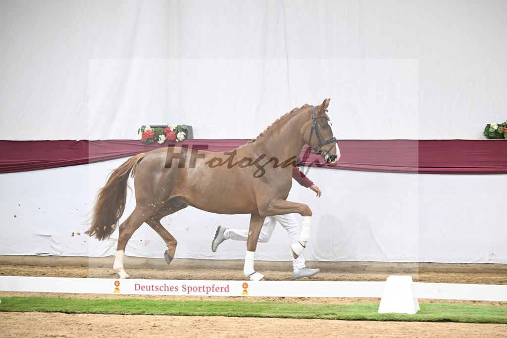 Kat-Nr. 115 Secret x Fidermark_Frieder Heilemann_47254362 | hf-fotografie - Realisiert mit Pictrs.com