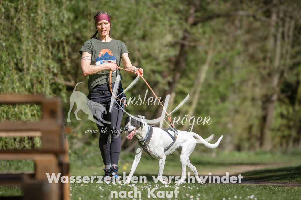1031DZ6_3993 | kk-dogfotos
