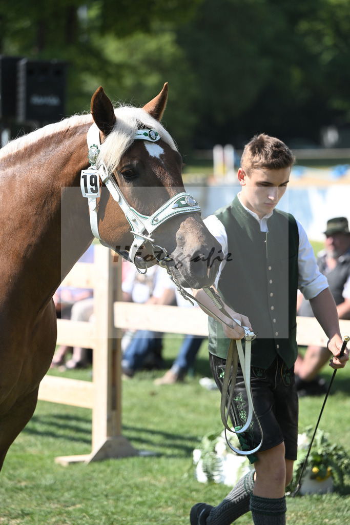 Kat-Nr. 19 Madrid_Bachmair_20230276 | hf-fotografie - Realisiert mit Pictrs.com