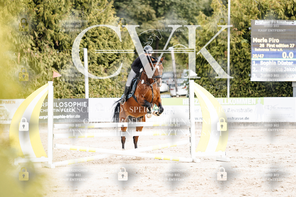 CK902573 | Turnierfotografie Pferdefotografie Trier Rheinland-Pfalz Pferdesport Reitsport Tierfotografie Sportfotografie Pferdevideo Pferdevideografie Equestrianvideography equestrianphotography  - Realisiert mit Pictrs.com
