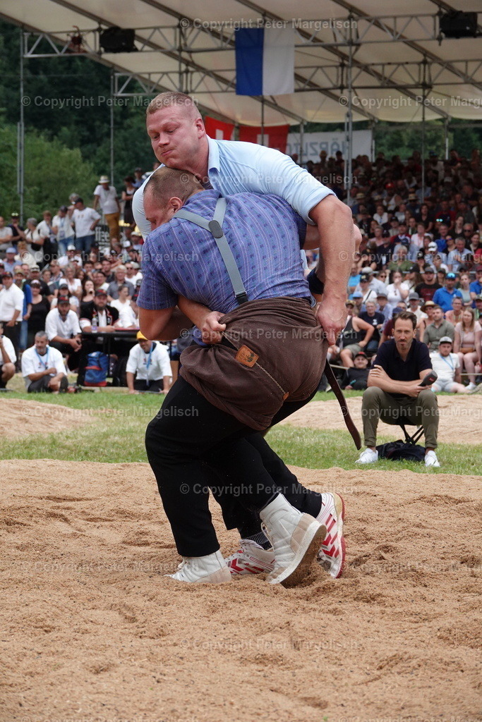 DSC01345 | Schwingen - Realisiert mit Pictrs.com