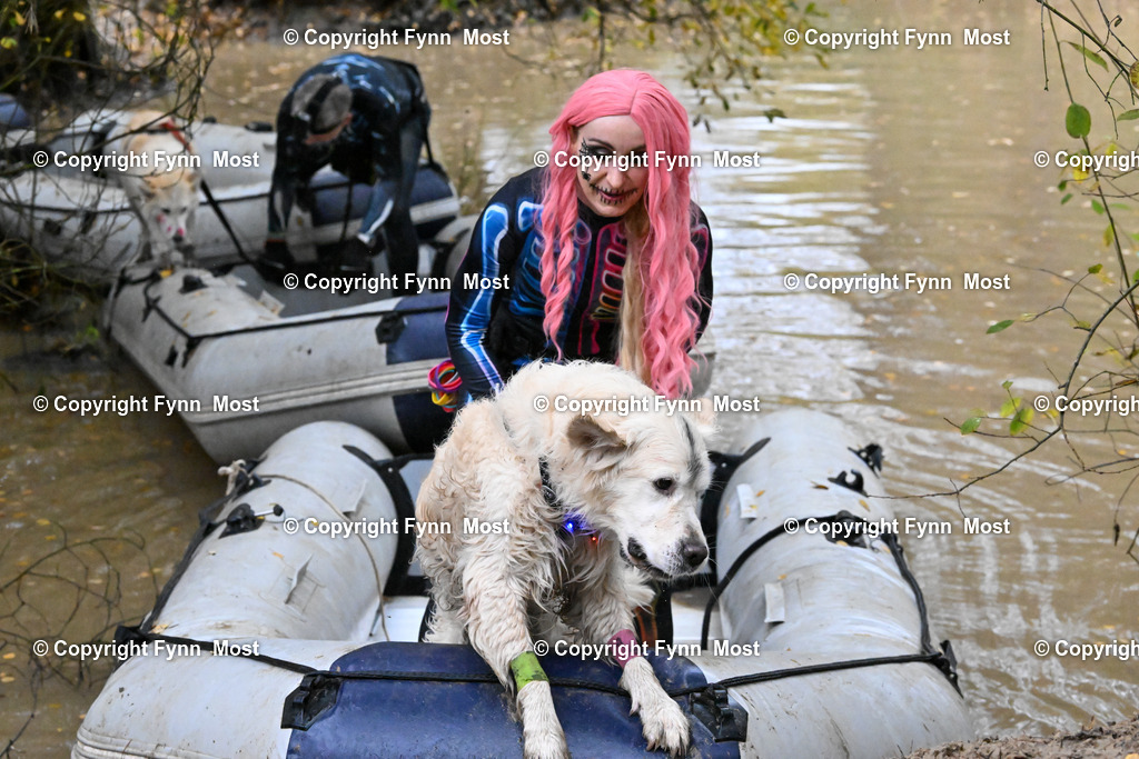 DSC_6750 | Hallo und herzlich Willkommen auf meiner Shop-Seite Fynn Most.

Ich wünsche Dir viel Spaß beim stöbern durch die Bilder, wenn Du Fragen hast oder Bilder vermisst, kannst du mir gerne eine Nachricht schreiben. - Realisiert mit Pictrs.com