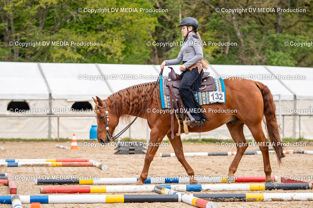 Heiligenwald Tag 1-497 | dv-media-shop - Realisiert mit Pictrs.com