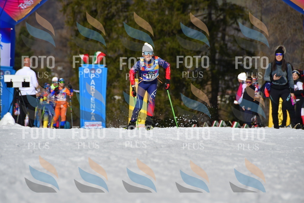 _DSC0593 | holidayphoto