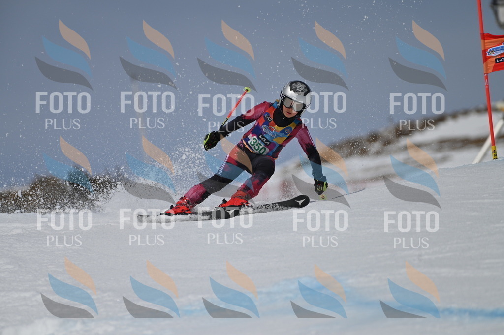 BGV_6883 | holidayphoto