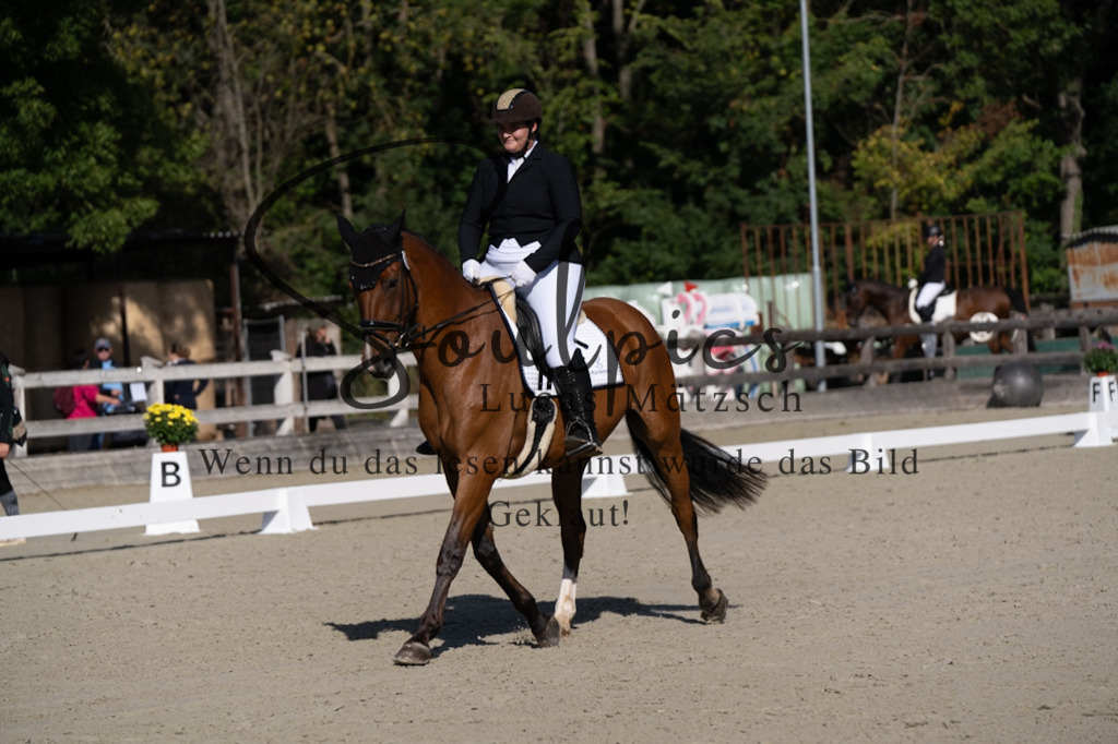 A7V06916 | Turnier/Reitfotograf