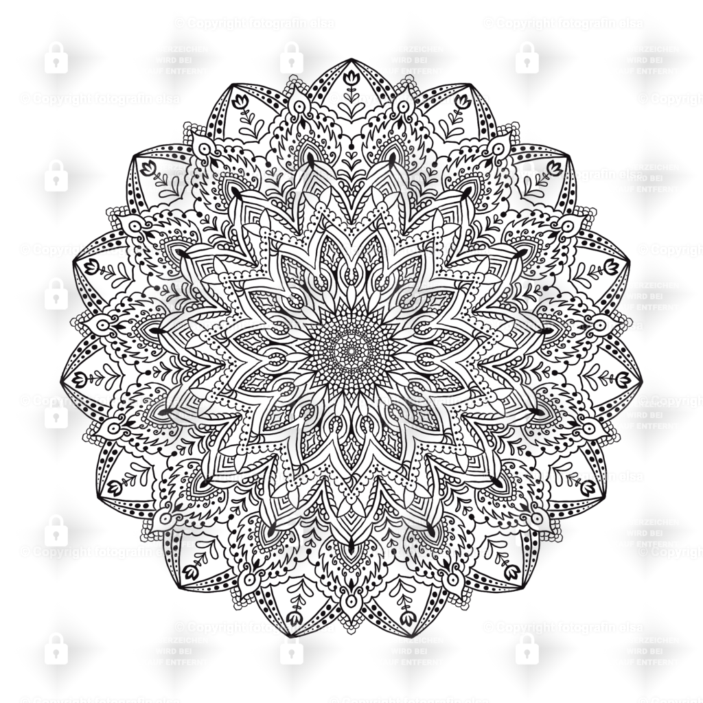 59Seite | fotografinelsa