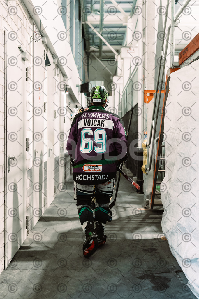 Alligators_vs_Bayreuth_10_2025-29 | Höchstadt Alligators Fotogalerie: Eishockey-Action aus Franken. Professionelle Spielfotos, Portraits & Stadionbilder zum Download. Jetzt entdecken! - Realized with Pictrs.com
