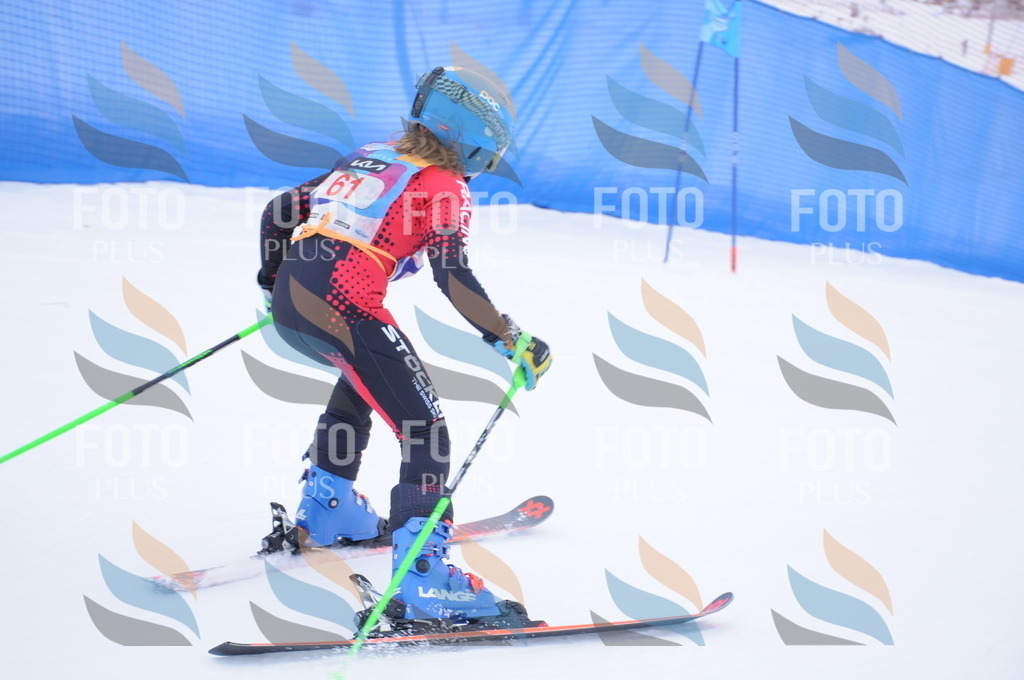 DSC_8006 | holidayphoto