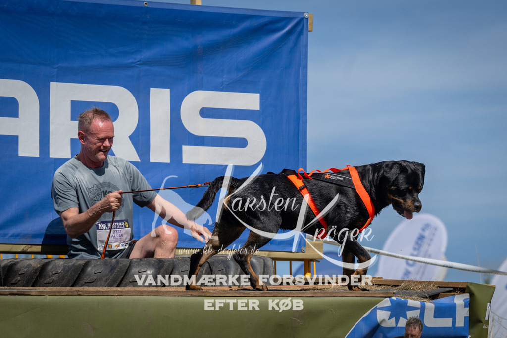 1357_ZZ99703 | kk-dogfotos
