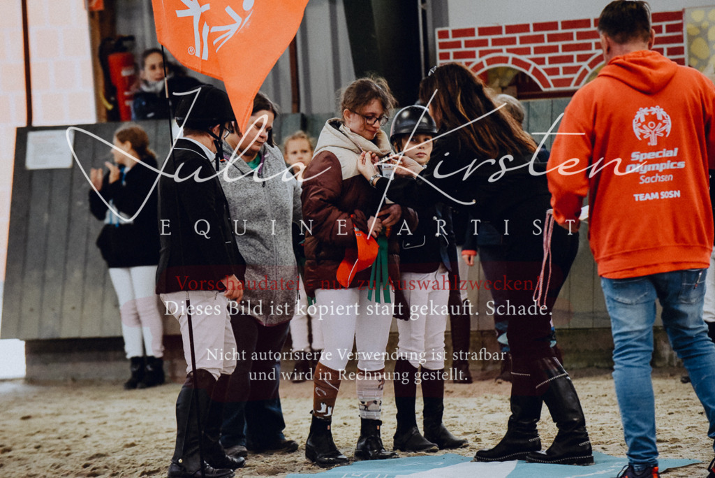 DSC_7017 | Pferde- und Turnierfotografie in Westsachsen. Pferdeportraits, Auftragszeichnungen und intuitive Kunst.