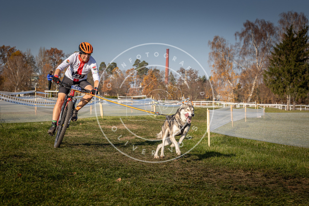 CaniXpix_0L8A8082 | Hundefotografie, Tierfotograf, Pfotenfotografie, Fotoshooting Hund, Hunde Portrait, Hundesport, Hundeportraits, Heideshooting, Hunde, Sportfotograf, Hundefotograf, Turnierhundsport, THS,  - Realisiert mit Pictrs.com