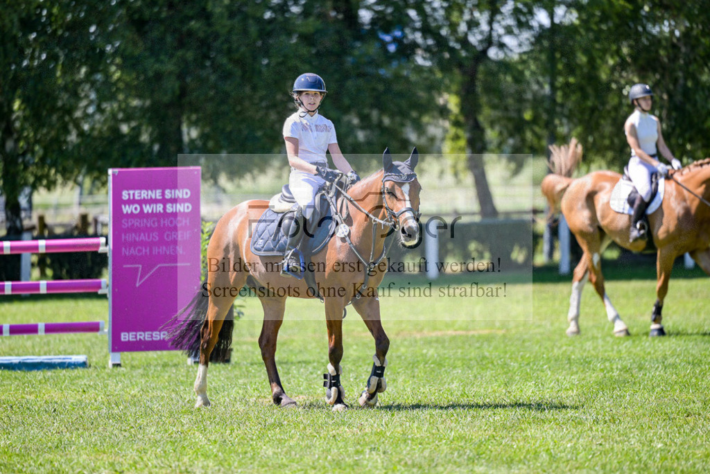 Reitturnier Voxtrup | Entdecke hochwertige Reitturnierfotos von Foto Oger. Professionell, emotional und authentisch – jetzt Lieblingsmomente im Shop bestellen.Deutschlandweite Turnierfotografie. - Realisiert mit Pictrs.com
