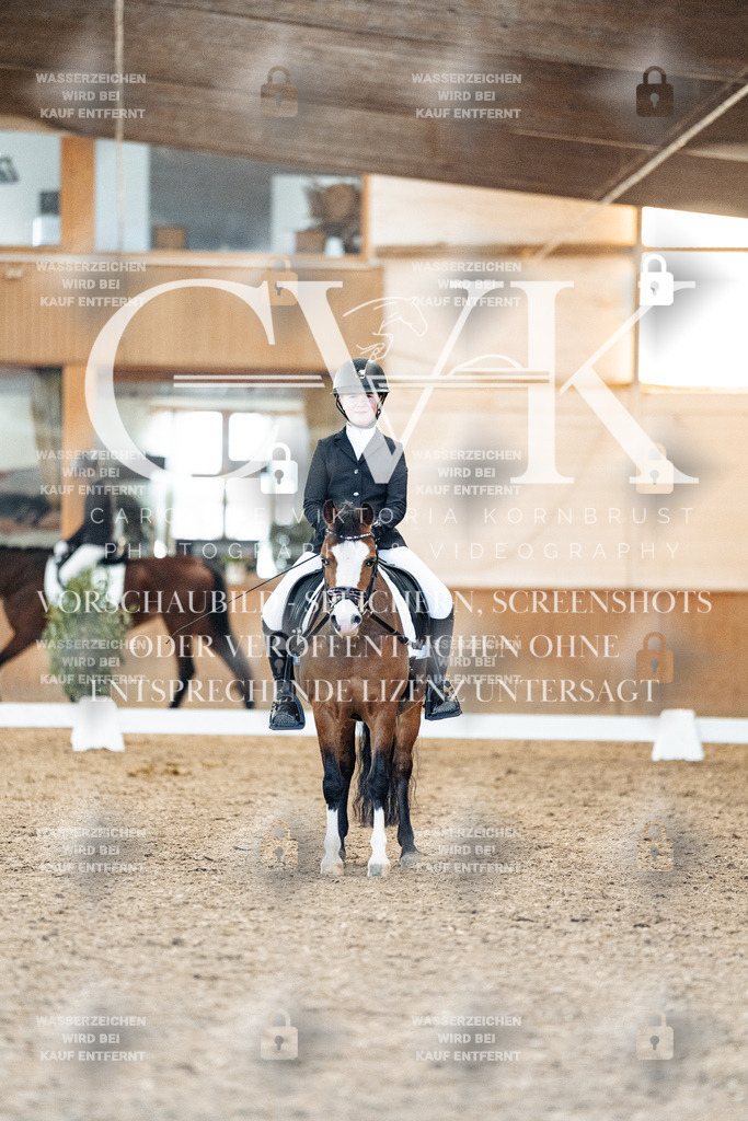 CK907443 | Turnierfotografie Pferdefotografie Trier Rheinland-Pfalz Pferdesport Reitsport Tierfotografie Sportfotografie Pferdevideo Pferdevideografie Equestrianvideography equestrianphotography  - Realisiert mit Pictrs.com