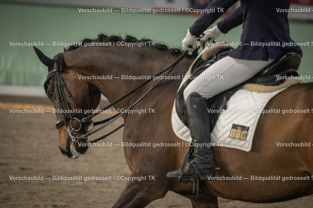 _D5A3919 | Emotionale Pferde- & People-Fotografie rund um Heidelberg, Leimen & Umgebung. Natürliche Fotos von Pferd, Mensch & Familie. Jetzt Termin sichern!