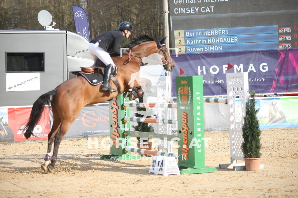 AS8V8638 | Willkommen bei Brunnmayr - Design & Fotografie – Ihrem Spezialisten für Reitturniere und Pferdeveranstaltungen in Oberösterreich, Salzburg und Bayern! Seit über 17 Jahren sind wir leidenschaftlich dabei.