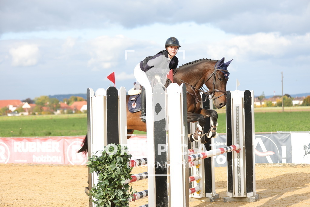 0P6A9795 | Willkommen bei Brunnmayr - Design & Fotografie – Ihrem Spezialisten für Reitturniere und Pferdeveranstaltungen in Oberösterreich, Salzburg und Bayern! Seit über 17 Jahren sind wir leidenschaftlich dabei.