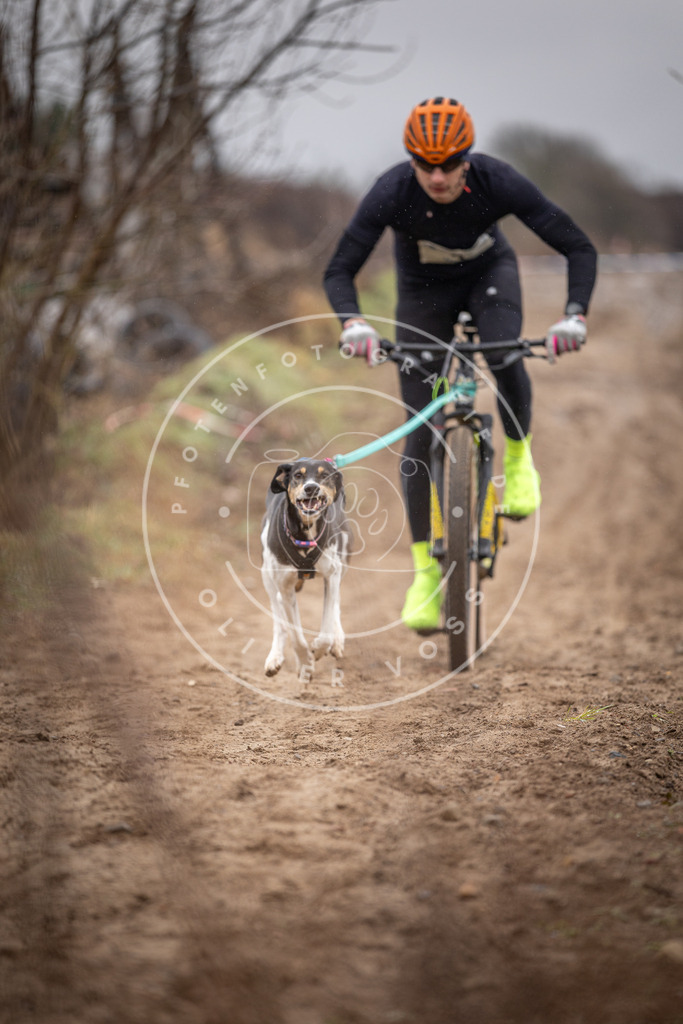 DV3A8868 | Hundefotografie, Tierfotograf, Pfotenfotografie, Fotoshooting Hund, Hunde Portrait, Hundesport, Hundeportraits, Heideshooting, Hunde, Sportfotograf, Hundefotograf, Turnierhundsport, THS,  - Realisiert mit Pictrs.com