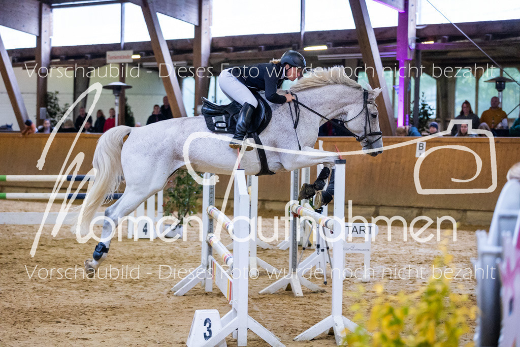 Sth-A-Spr.m.st.A.-051 | MomenTaufnahmen Pferdesportfotos