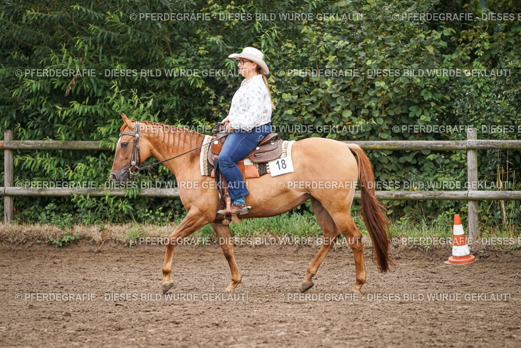 DSC02941 | Pferdegrafie