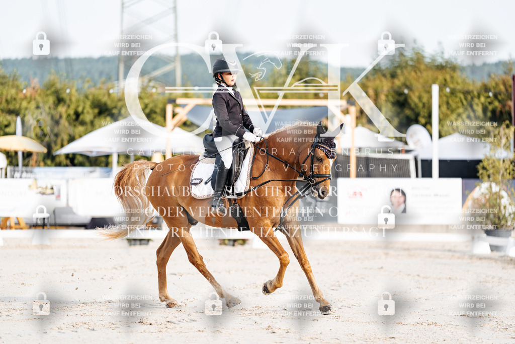 CK903679 | Turnierfotografie Pferdefotografie Trier Rheinland-Pfalz Pferdesport Reitsport Tierfotografie Sportfotografie Pferdevideo Pferdevideografie Equestrianvideography equestrianphotography  - Realisiert mit Pictrs.com