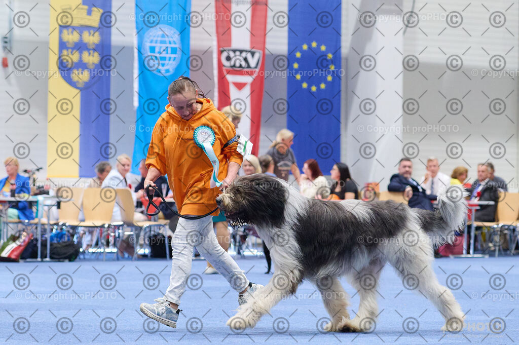 202406_ÖKV-IHA-Tulln24_DSC_2874 | proPHOTO - Realisiert mit Pictrs.com