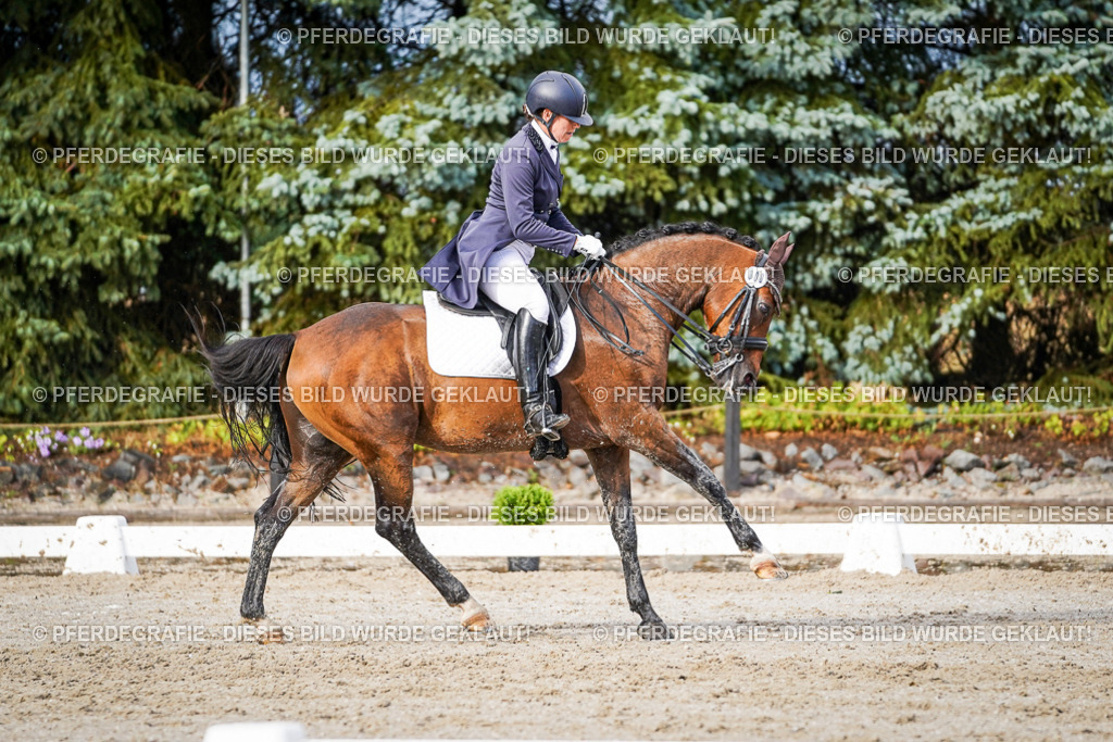 DSC00350 | Pferdegrafie