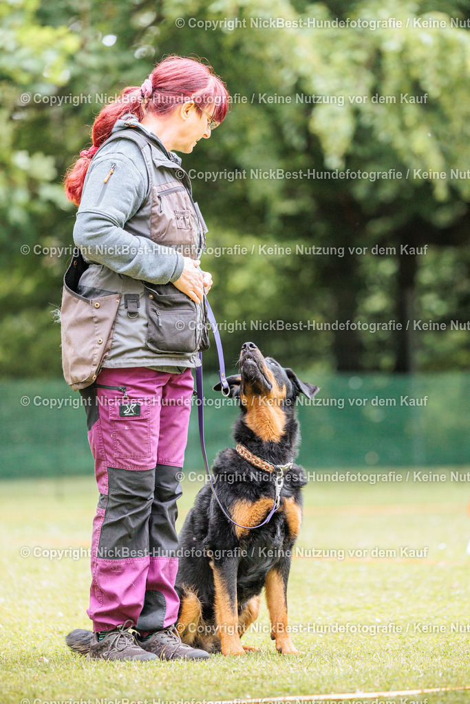 RO-Blumenthal-2026-Nickbest-Hundefotografie-2636 | Dein Hund! Dein Moment! Deine Erinnerungen! Hundefotografie in Bremen Blumenthal. Ich fange die besonderen Momente deines Vierbeiners ein – ob Indoor mit Blitzanlage oder in der freien Natur. Sicher dir dein Moment und dein Termin für eure Erinnerungen.