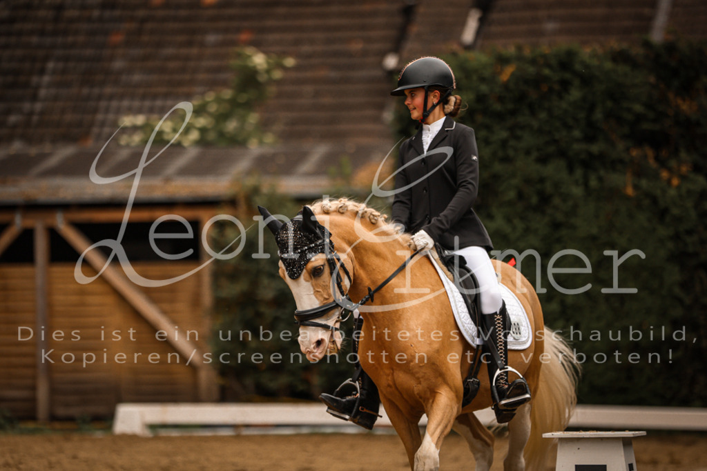 DoDrE00360 | Leoni Ertmer Photography - Realisiert mit Pictrs.com