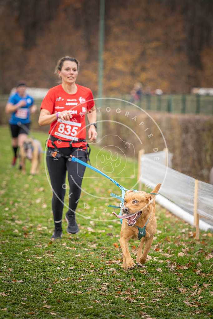 CaniXpix_DV3A6522 | Hundefotografie, Tierfotograf, Pfotenfotografie, Fotoshooting Hund, Hunde Portrait, Hundesport, Hundeportraits, Heideshooting, Hunde, Sportfotograf, Hundefotograf, Turnierhundsport, THS,  - Realisiert mit Pictrs.com