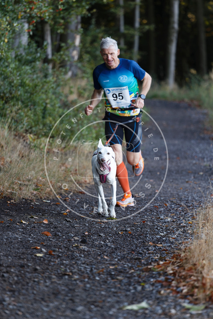 0L8A2220 | Hundefotografie, Tierfotograf, Pfotenfotografie, Fotoshooting Hund, Hunde Portrait, Hundesport, Hundeportraits, Heideshooting, Hunde, Sportfotograf, Hundefotograf, Turnierhundsport, THS,  - Realisiert mit Pictrs.com