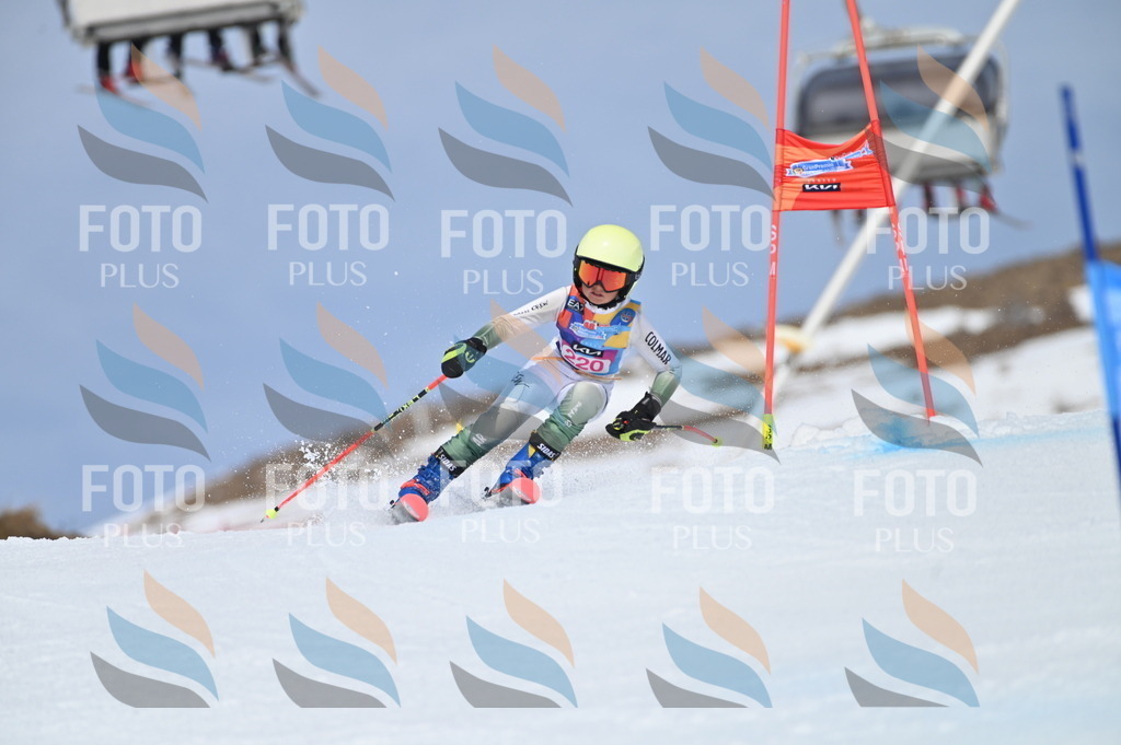 BGV_1308 | holidayphoto