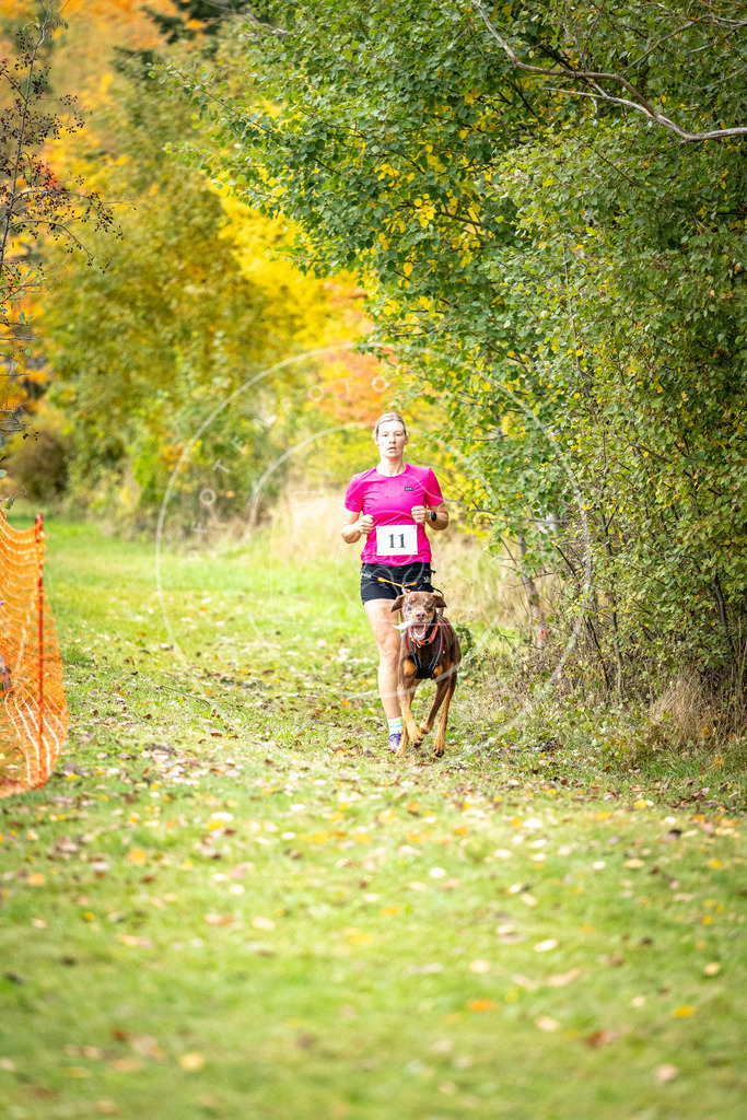 Pfotenfotografie_DV3A1775 | Hundefotografie, Tierfotograf, Pfotenfotografie, Fotoshooting Hund, Hunde Portrait, Hundesport, Hundeportraits, Heideshooting, Hunde, Sportfotograf, Hundefotograf, Turnierhundsport, THS,  - Realisiert mit Pictrs.com