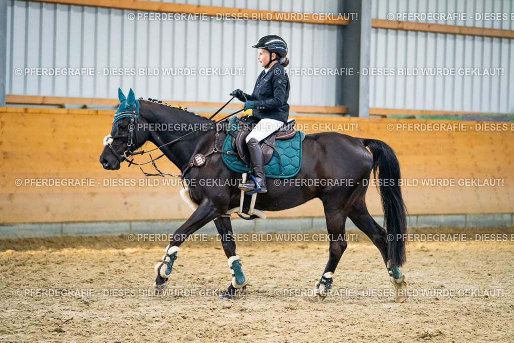 DSC01006 | Pferdegrafie