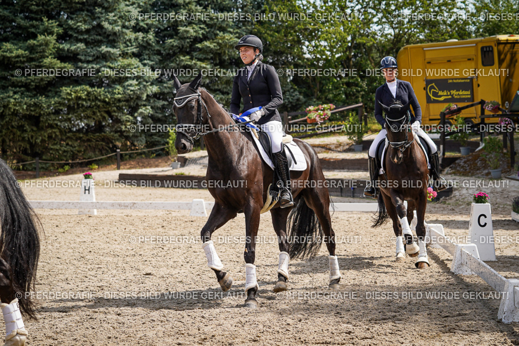 DSC09772 | Pferdegrafie