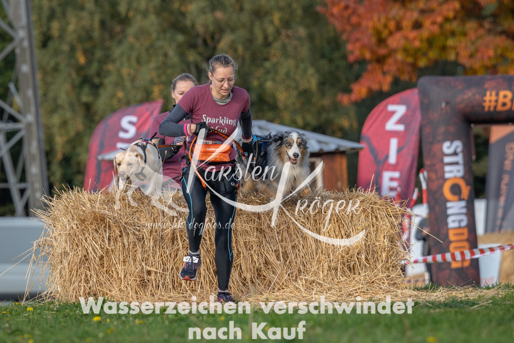 1018_ZZ93014 | kk-dogfotos
