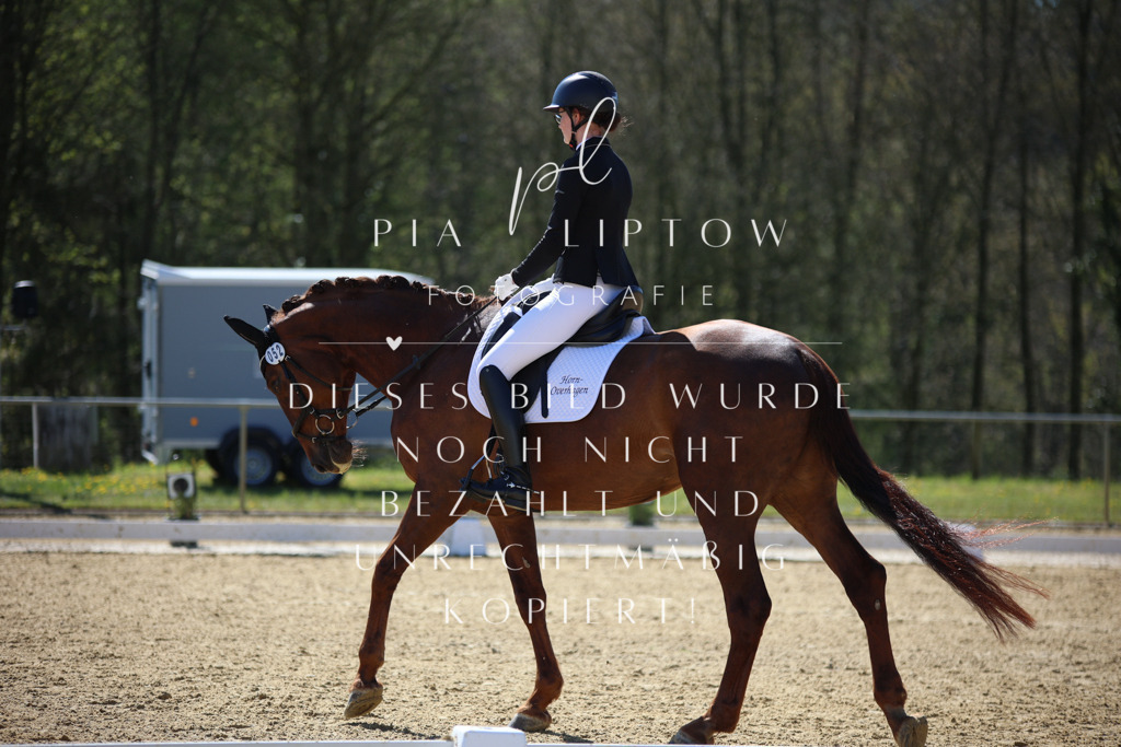 IMGT0722 | pl-fotografie