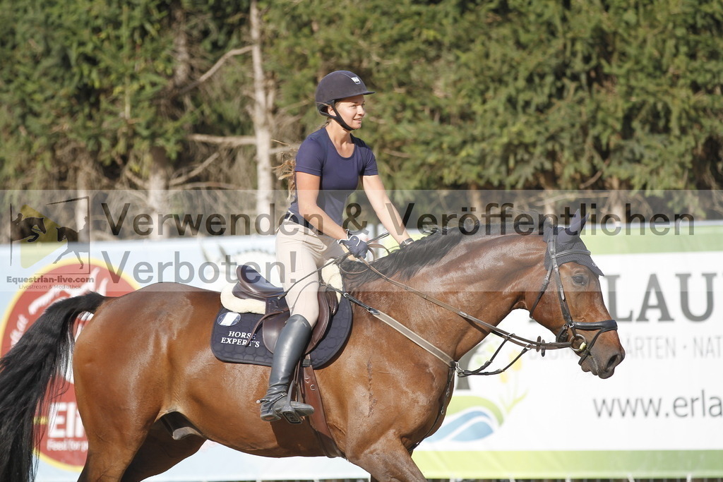 _MG_9812 | equestrian-live-com